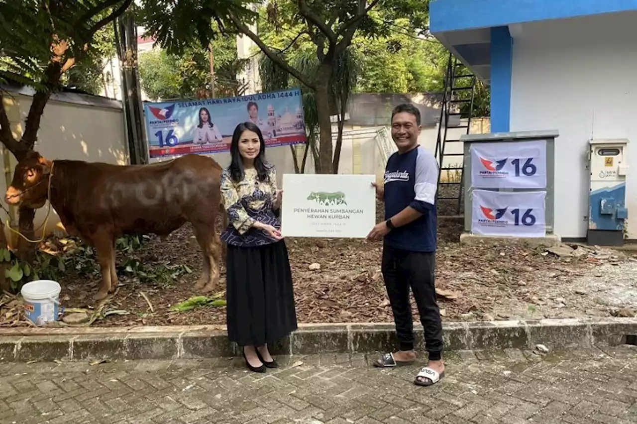 Partai Perindo Salurkan Sapi Kurban 600 Kg ke Warga Kebayoran Baru