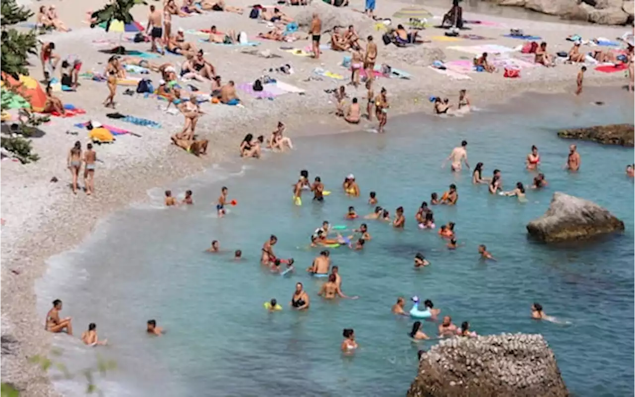 Cerveteri, allarme pulci di mare in spiaggia: cosa fare per difendersi