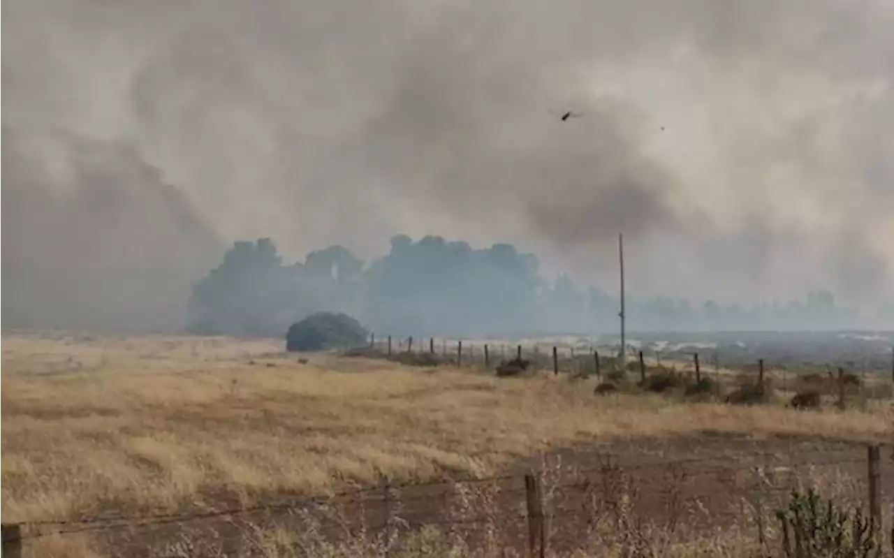 Incendi nel Sud della Sardegna: case evacuate a Muravera e Colostrai