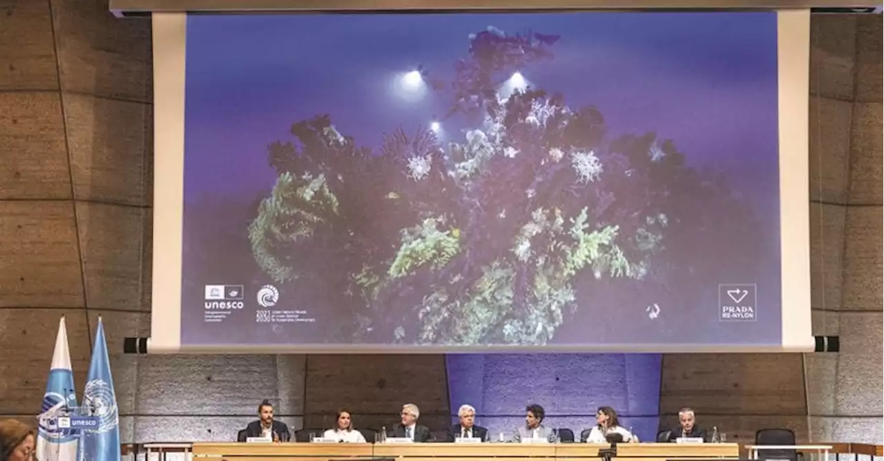 Prada rinsalda il legame con l’Unesco per diffondere conoscenza degli oceani