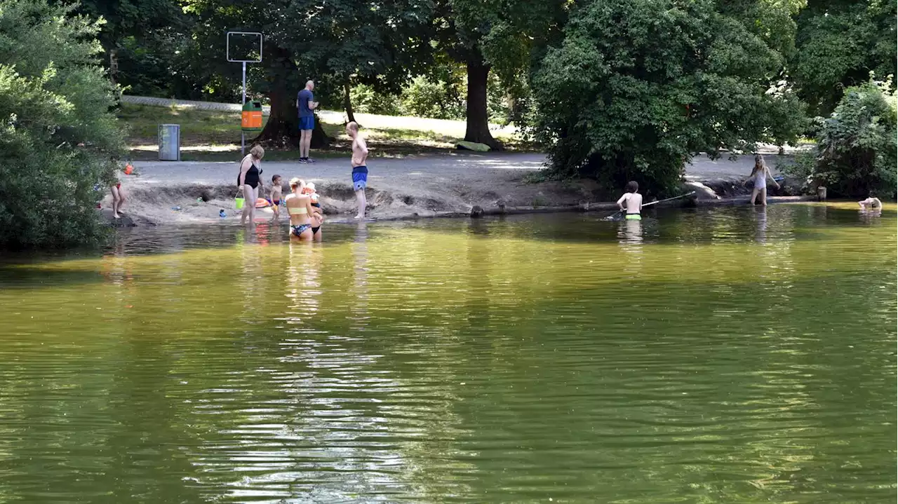 Nach mutmaßlicher Vergewaltigung am Schlachtensee: Berliner Landeskriminalamt bildet spezielle Ermittlungsgruppe