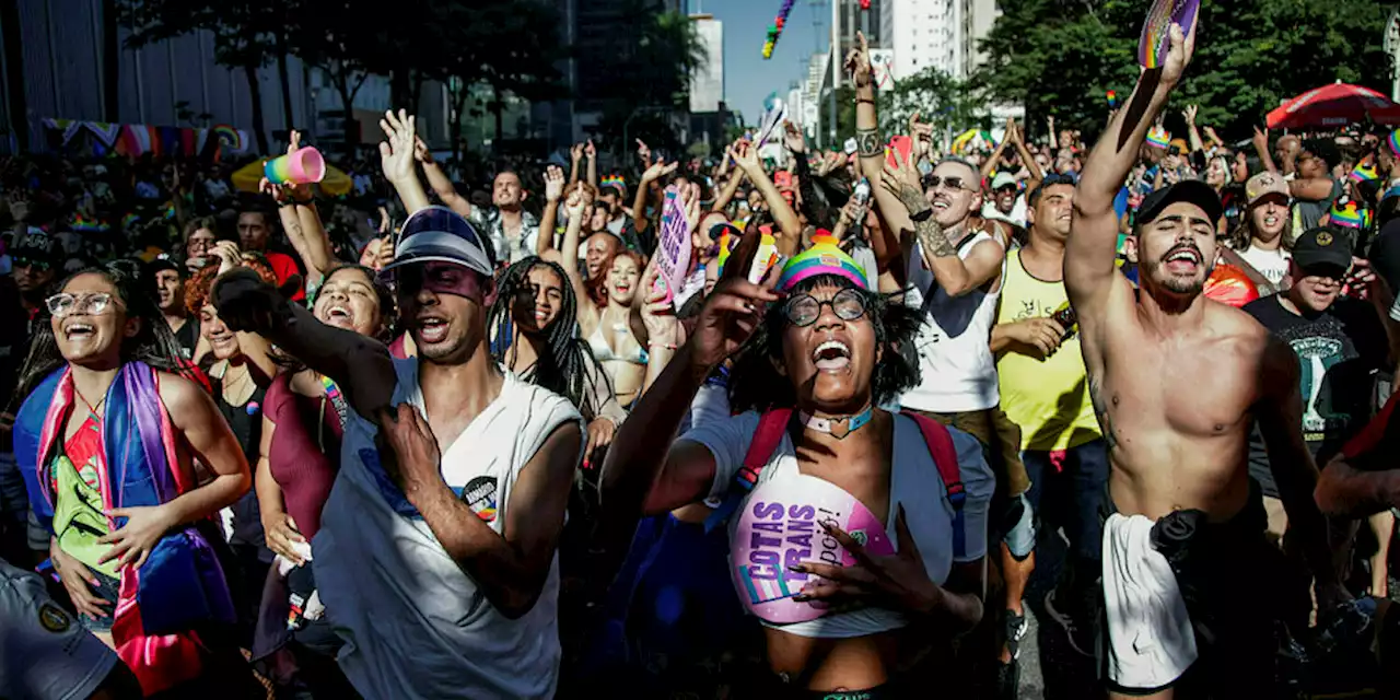 Transfeindlichkeit in Brasilien: Identitätspolitik von rechts