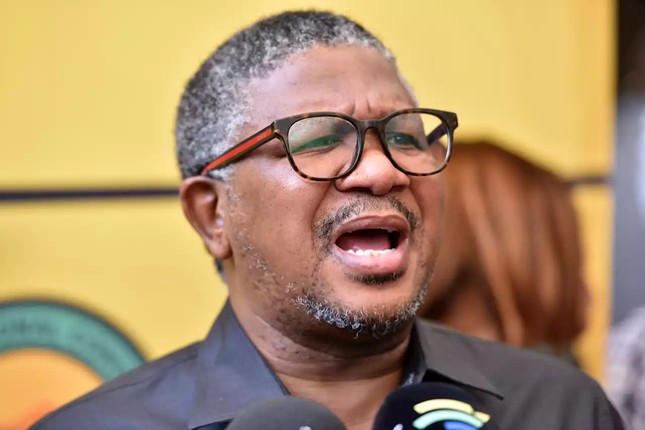 ANC fixing 'one crisis after other' but opposition could take credit – Mbalula | The Citizen