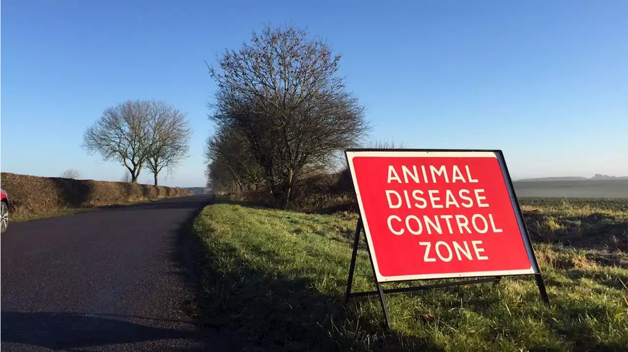 Bird flu restrictions lifted after Scunthorpe outbreaks