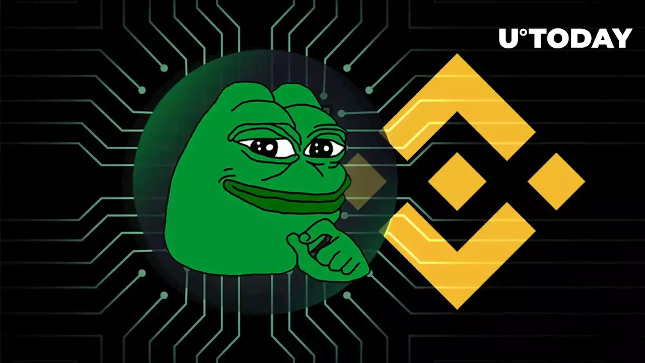 Almost 2 Trillion PEPE Withdrawn From Binance; What's Happening?