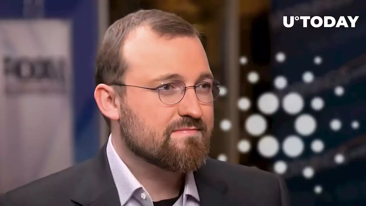 Cardano Is 'Growing' Under Harshest Conditions: Charles Hoskinson