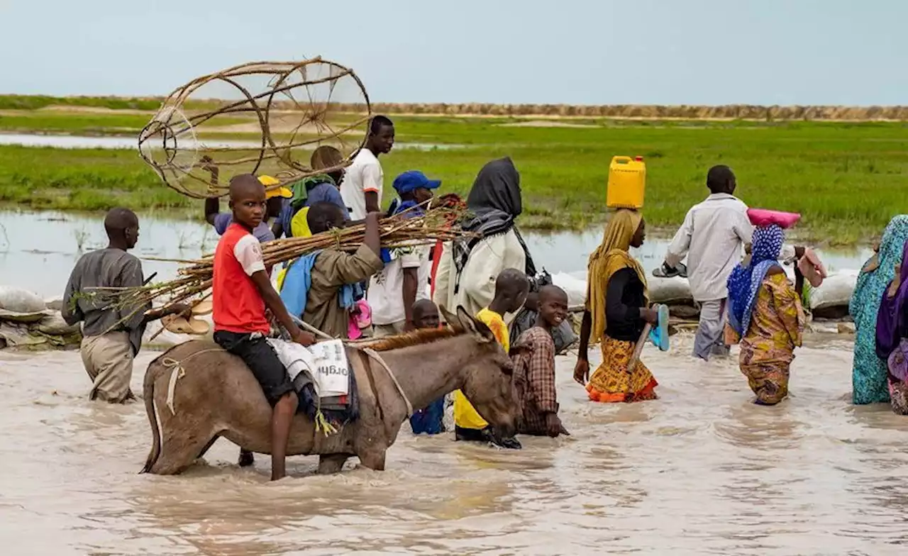 Nigeria's North-East on the Verge of Famine, UN Warns