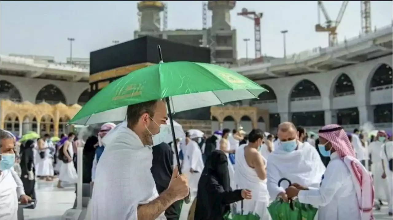 توزيع 100 ألف مظلة وسجادة على ضيوف الرحمن في مشعر منى - صحيفة الوئام الالكترونية