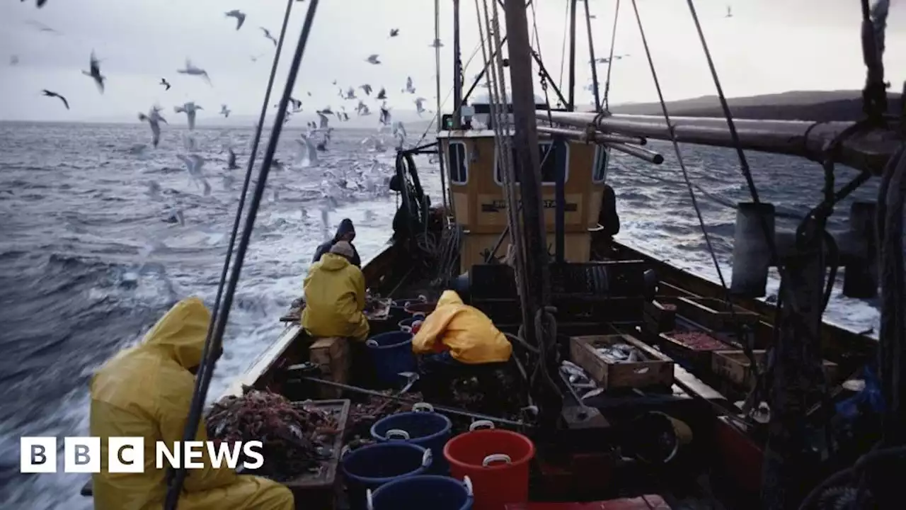 Scottish government scraps marine conservation plan