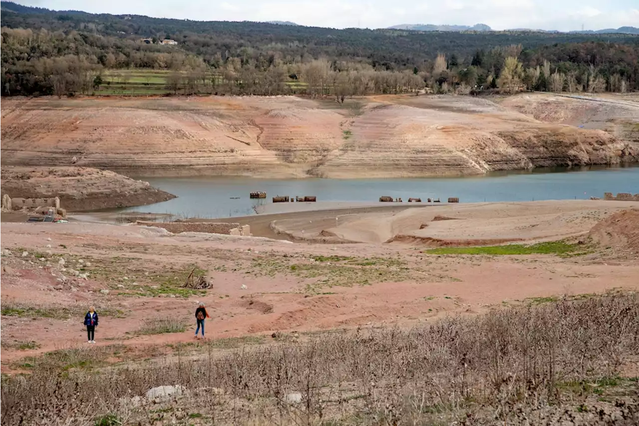 Dürre: Diese Regeln zum Wassersparen gibt es in anderen Ländern