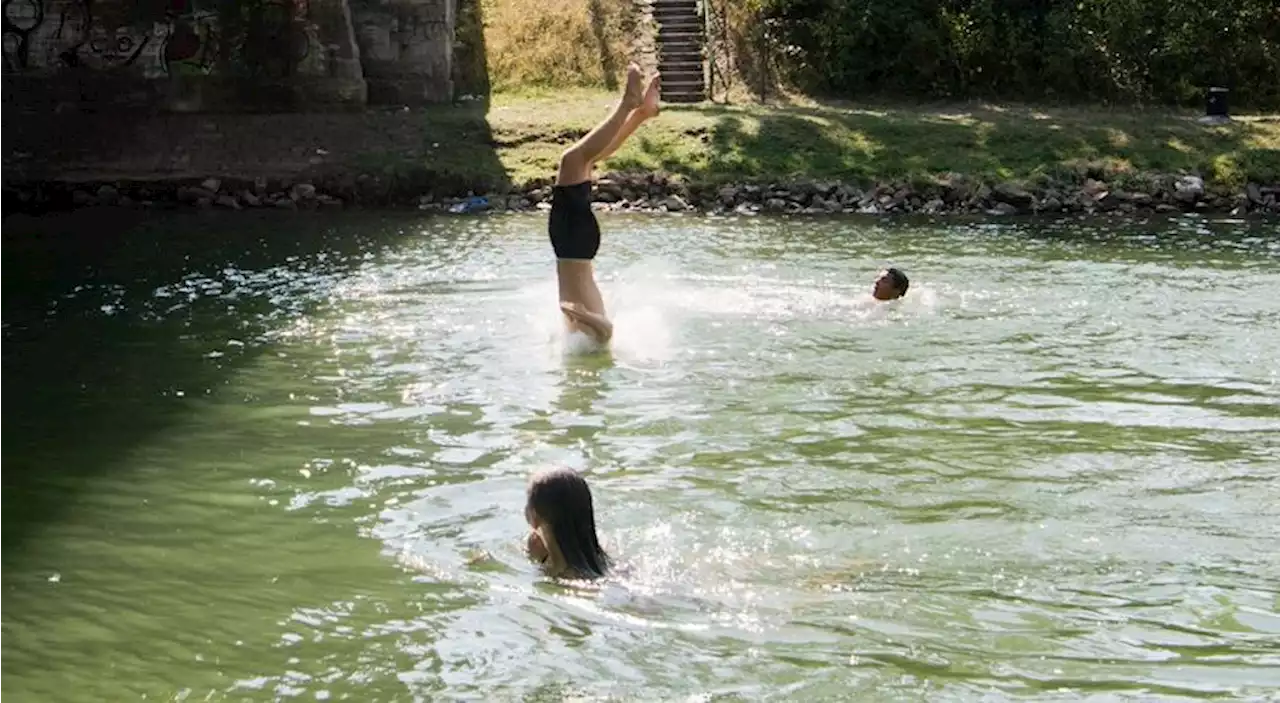 Gefährlicher Absprung: Rausch und Risiko beim urbanen Klippenspringen