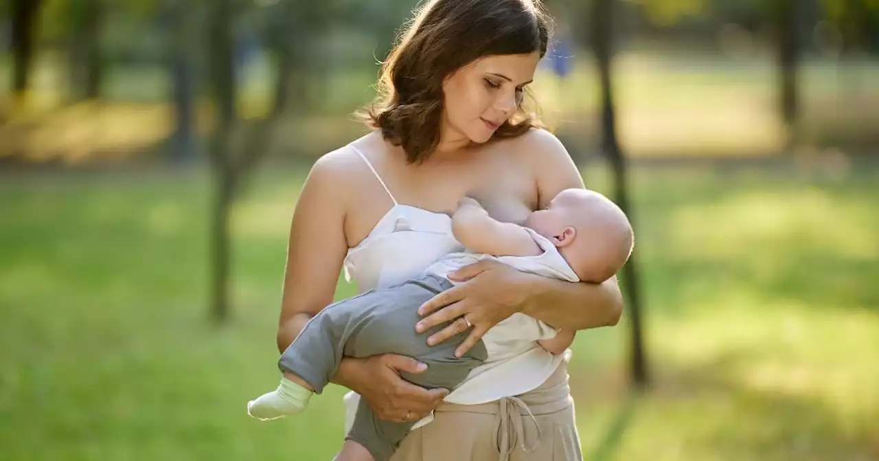 Cette femme a été interdite d'allaiter son enfant 'en plein air' au zoo de Lille : « Madame, vous devez vous lever »