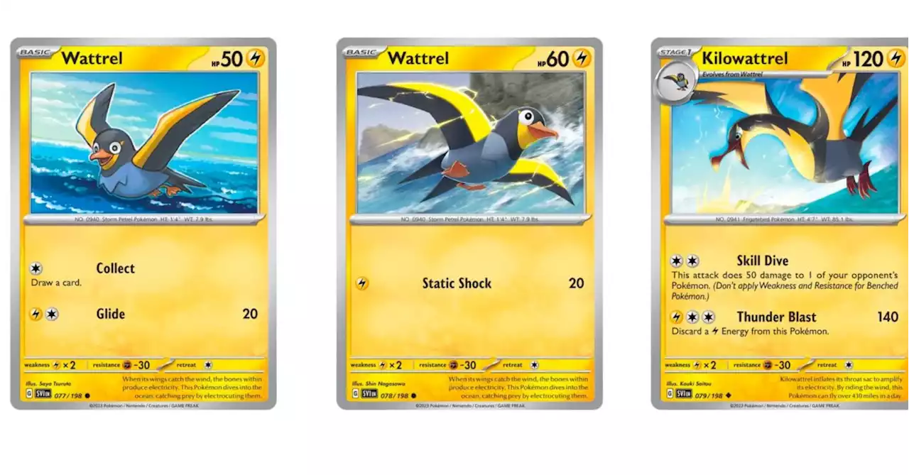 The Cards Of Pokémon TCG: Scarlet & Violet Part 18: Wattrel Line