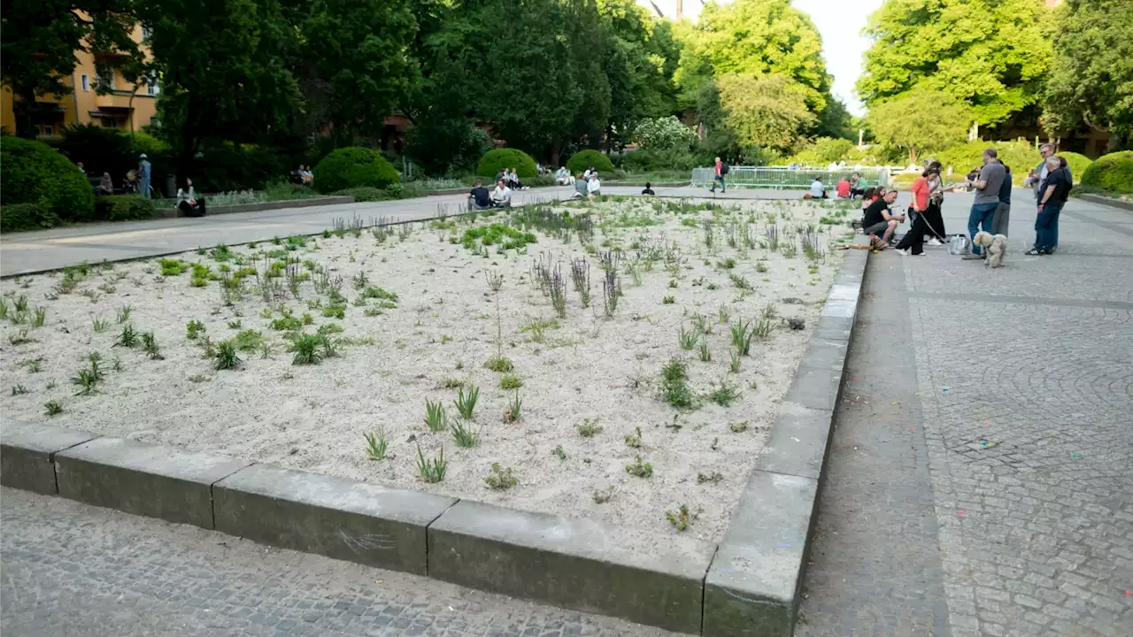 Berlin schafft die Blumen ab – Beete werden zur Wüste