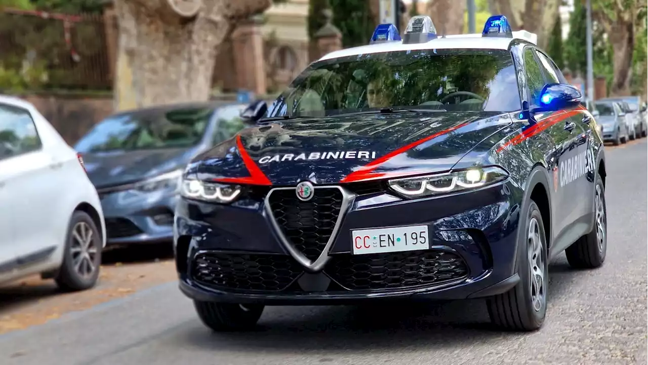 Alfa Romeo Tonale Joins The Carabinieri Police Fleet In Italy | Carscoops