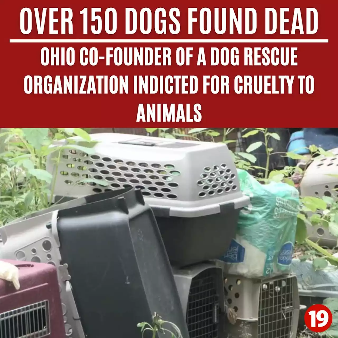 Ohio woman indicted after authorities find over 150 dead dogs on properties