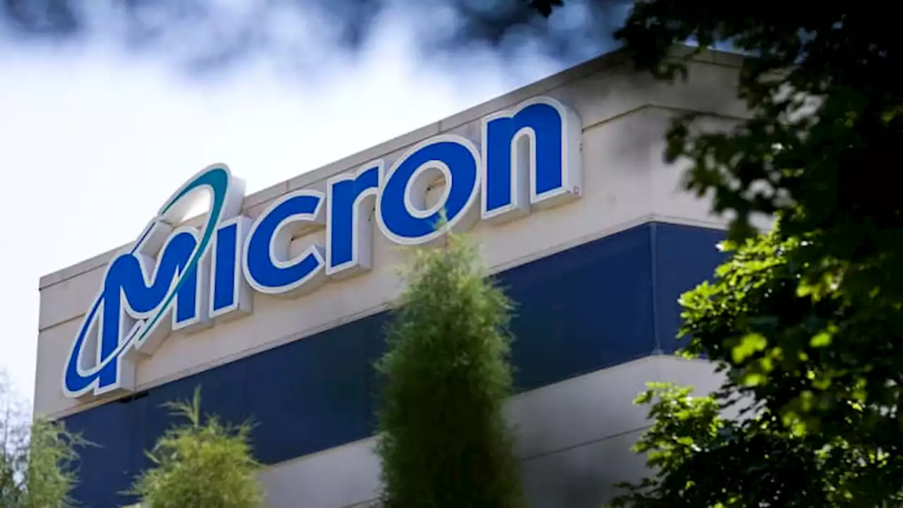 Asian chip stocks rally after Micron's bullish forecast signals easing supply glut