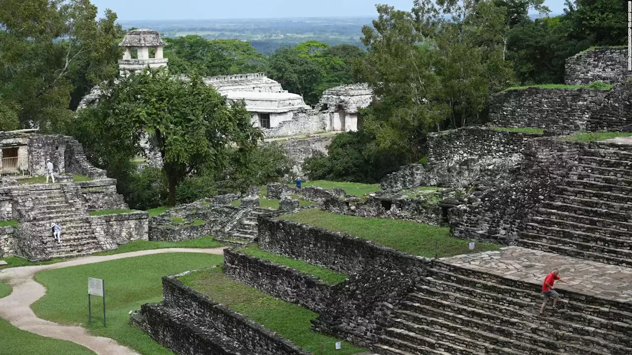 La aerolínea que apuesta por el mundo maya | Video