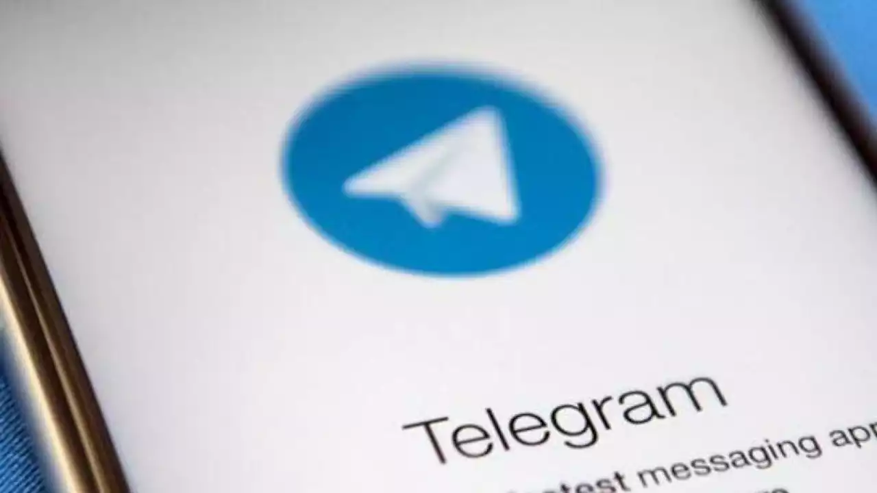 Le chat su Telegram degli studenti minorenni: «Sono andato a scuola con la glock», «Avete mai fatto una molotov?»