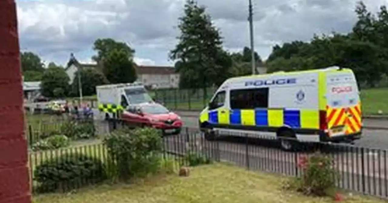 Man found dead in Glasgow woods as police treat death as 'unexplained'