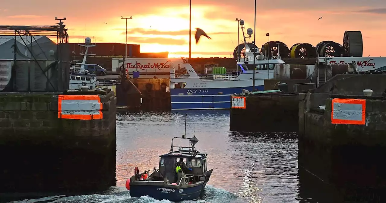 Scottish Government dumps plan to ban fishing along 10% of coastline