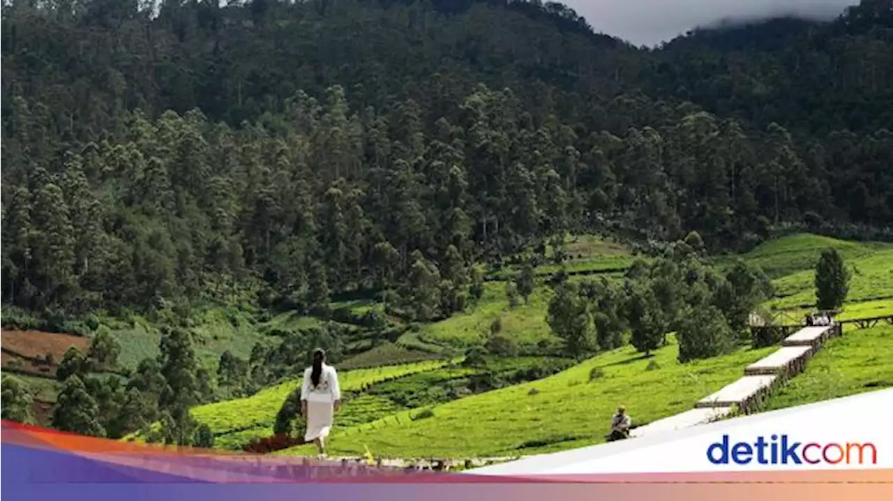 10 Objek Wisata Pangalengan, Cocok Untuk Healing