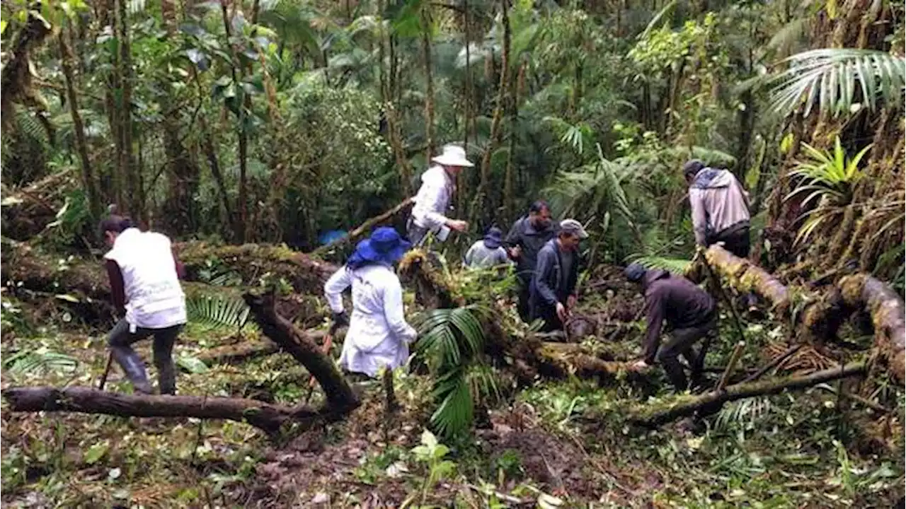 Conflicto pone en riesgo aportes de ex FARC en la búsqueda de desaparecidos