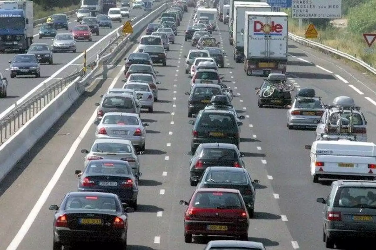 INSOLITE. Deux moutons créent un bouchon de 4 kilomètres sur l'autoroute A9 près de Montpellier