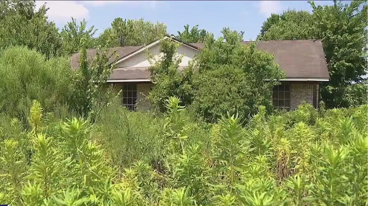 Shocking Neglect: Brazoria County officials ignored overgrown public nuisance for years, residents demand action