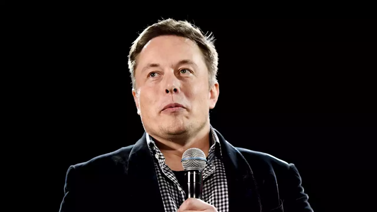 Elon Musk's Parents: Please Don't Let Our Grown Child Fight The Facebook Guy