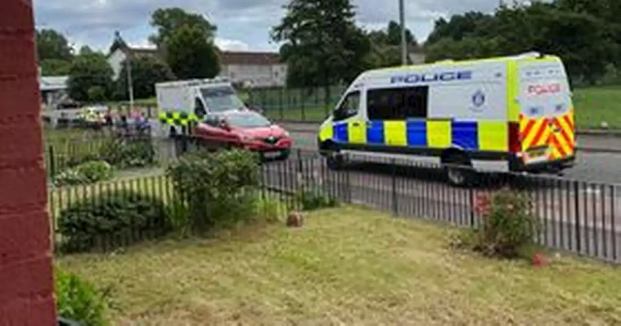 Man dies in Glasgow woods as investigators treat death as 'unexplained'