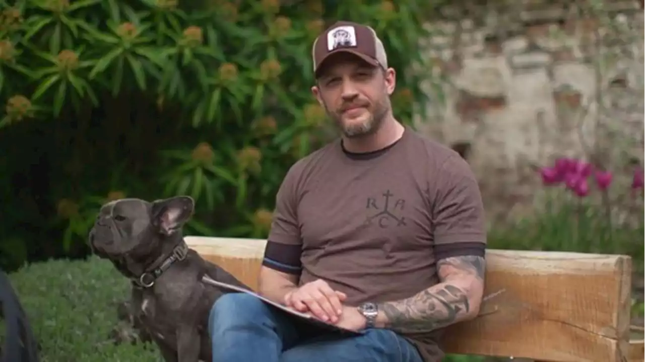 Back By Popular Demand – Tom Hardy Has Recorded Even More CBeebies Bedtime Stories