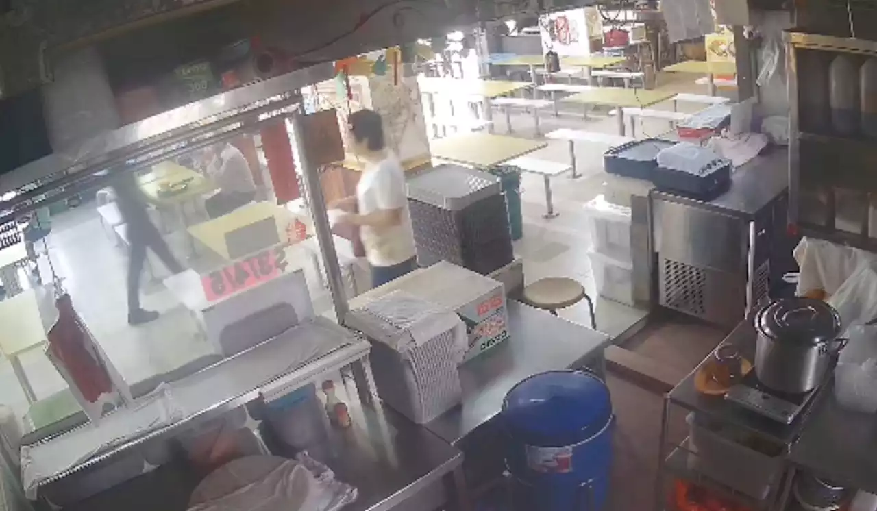 Auntie scolds hawker for allowing guide dog into shop; pastes notice from Google search results to prove that dogs are not allowed in kopitiams - Singapore News