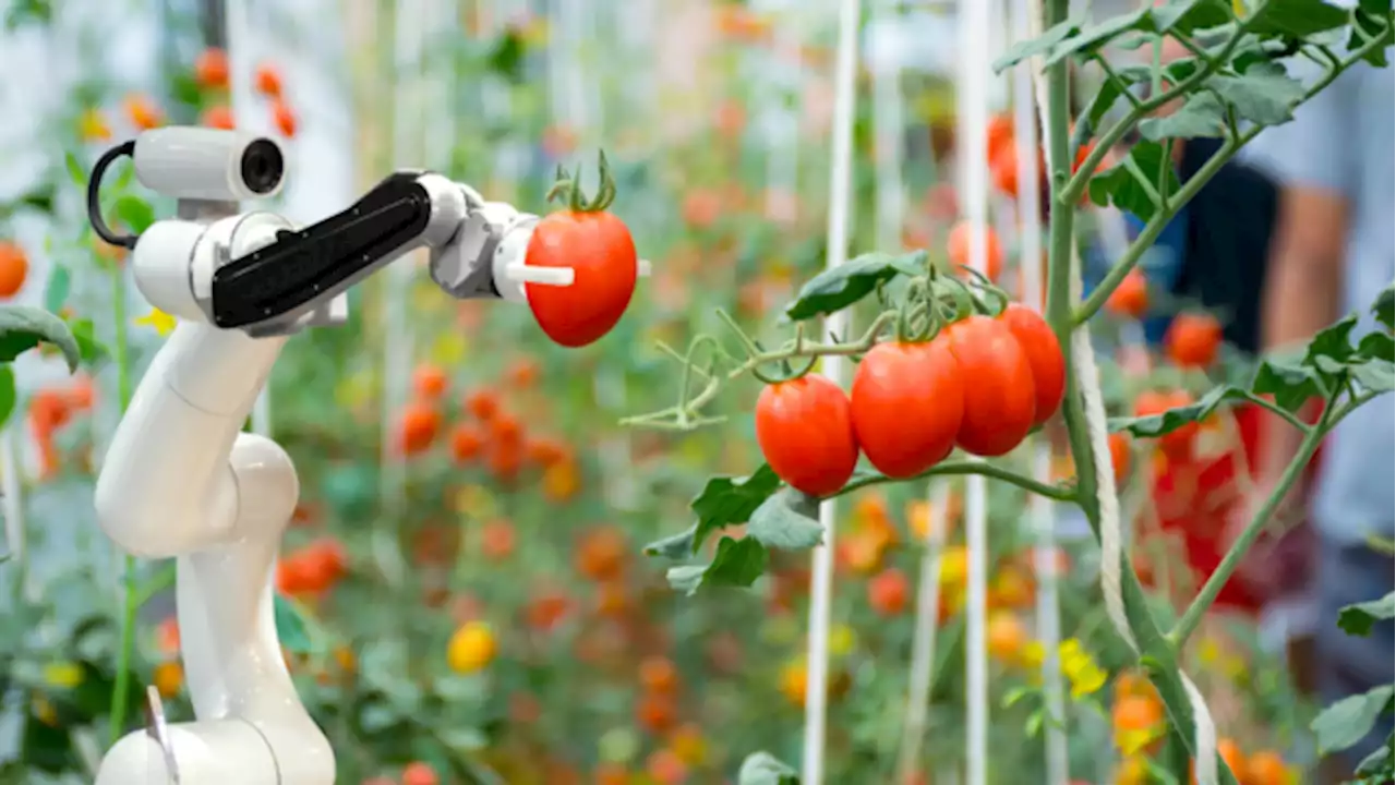 AI agriculture changes how the world grows food