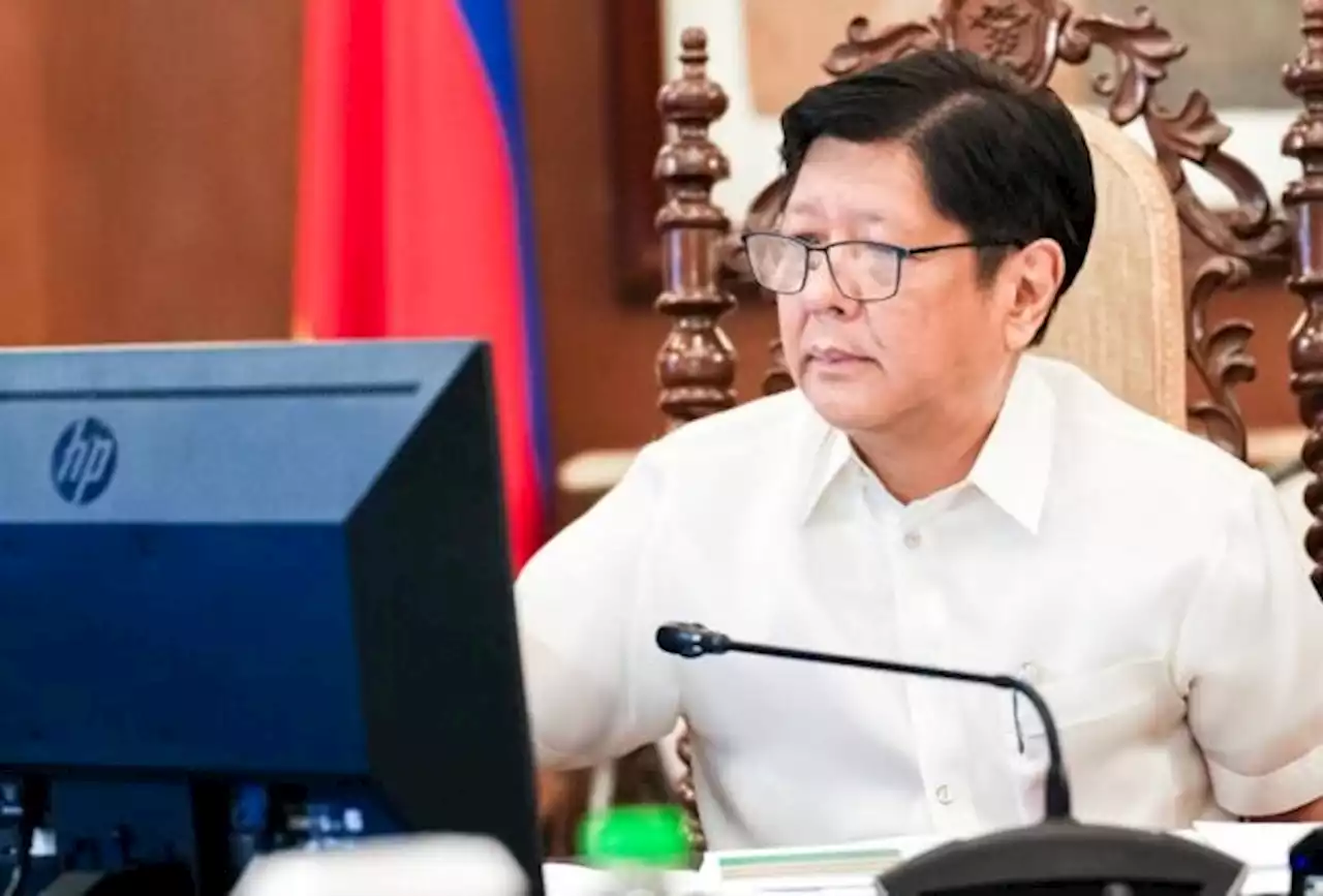 Bongbong Marcos wants to invest in technologies to strengthen coconut industry