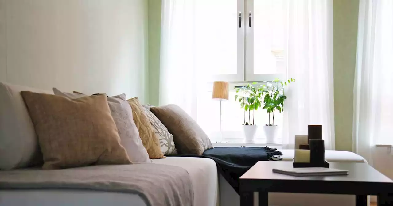 How to make the most of natural light in your home