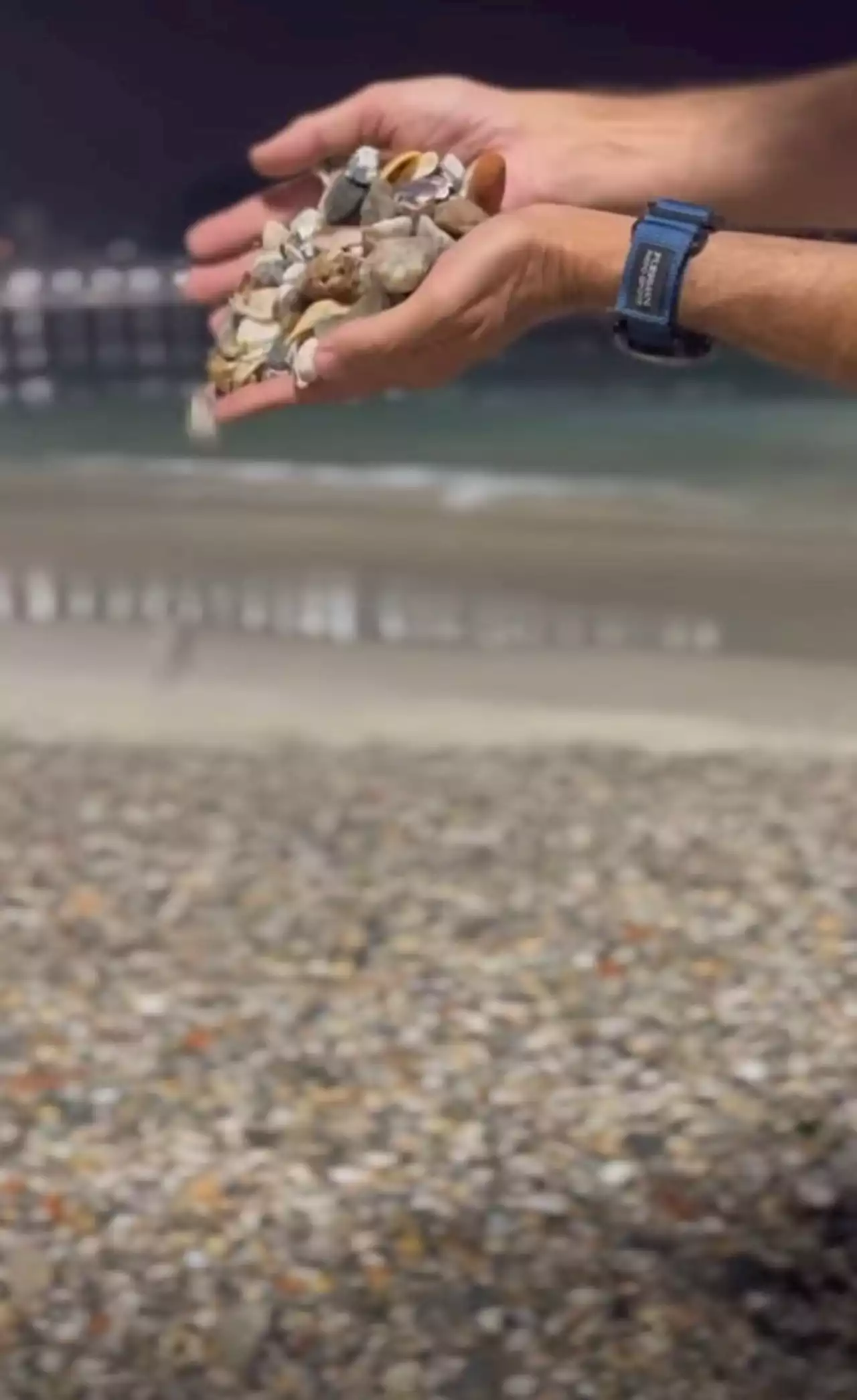 Vídeo: Milhares de conchas cobrem areia da Praia de Copacabana