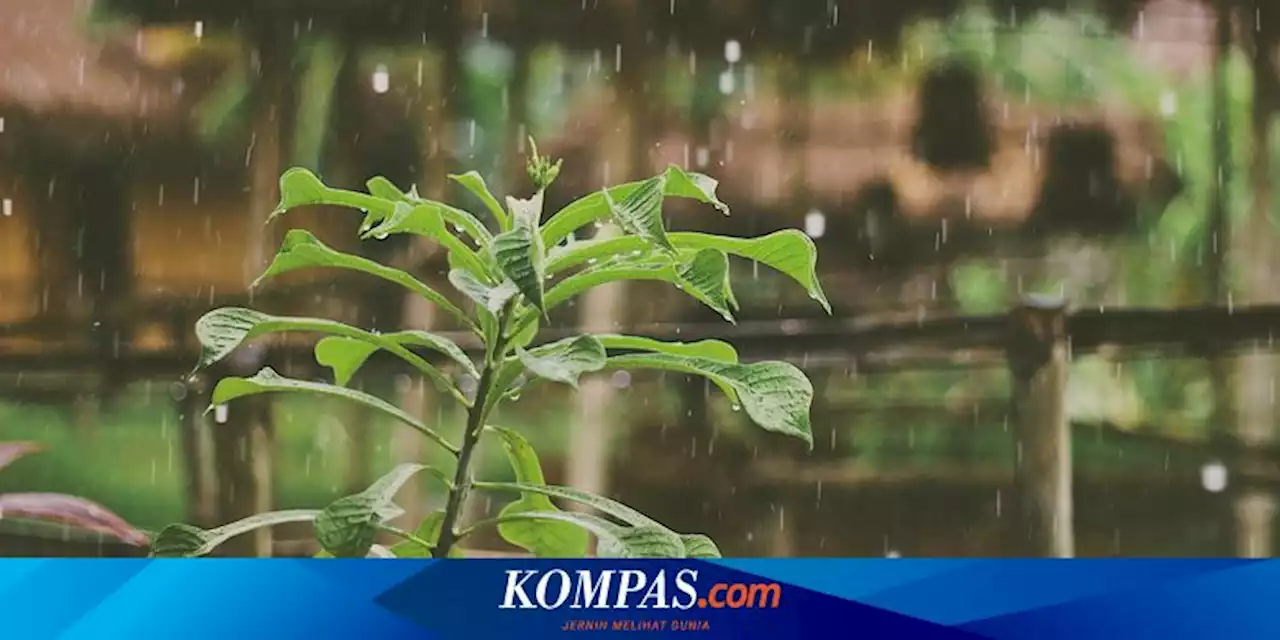 Analisis BMKG tentang Hujan Ringan di Musim Kemarau