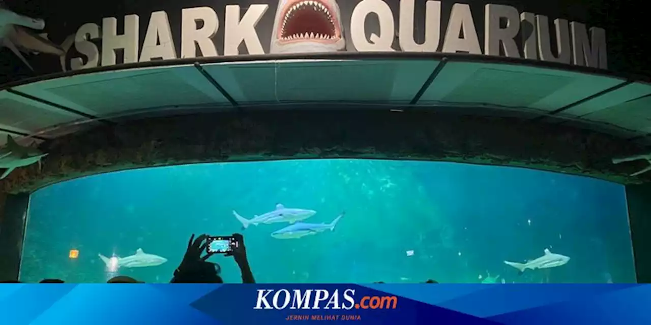 Ancol Jadi Favorit Saat Libur Sekolah, Banyak yang dari Luar Kota