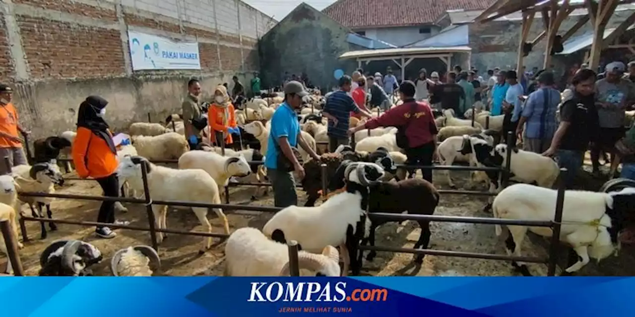 Banyak Dikonsumsi Saat Idul Adha, Ini Sederet Manfaat Daging Kambing untuk Kesehatan