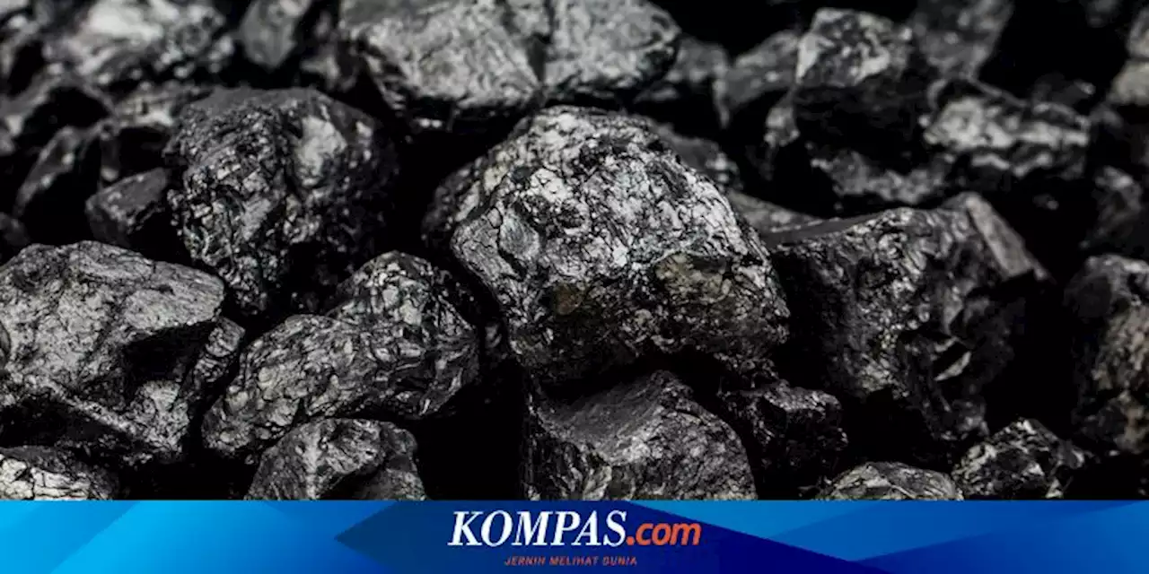 Cara Menyalakan Arang dengan Cepat untuk Bakar Sate Daging Kurban Idul Adha