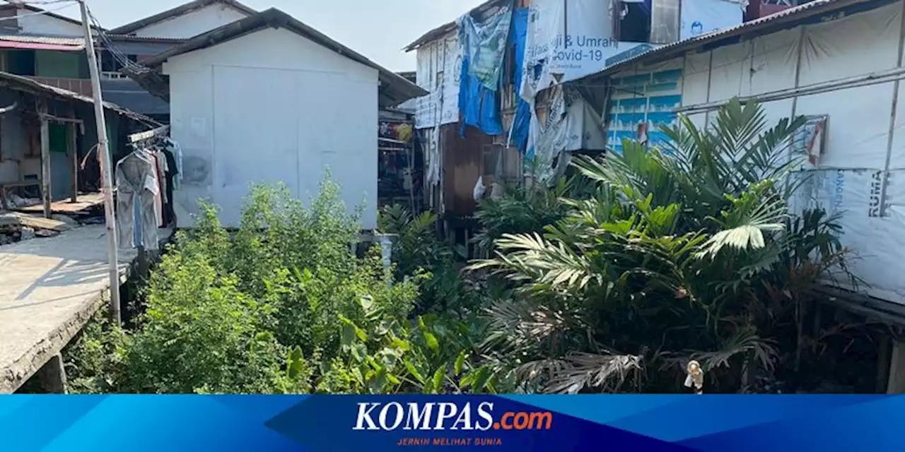 Deretan Rumah Panggung di Kapuk Muara yang Kolongnya Penuh Sampah Berstatus Pemukiman Liar