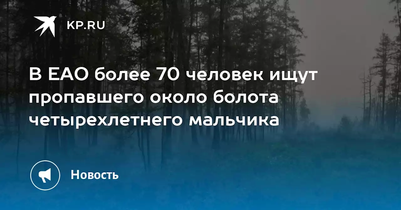 В ЕАО более 70 человек ищут пропавшего около болота четырехлетнего мальчика