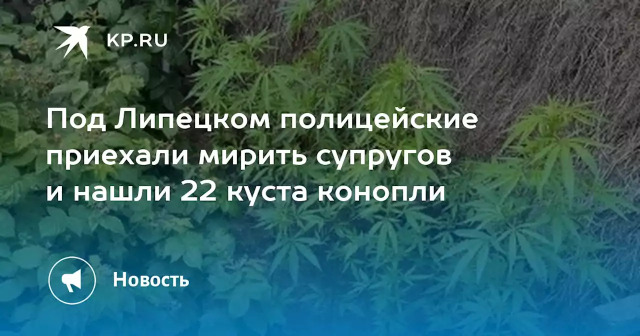 Под Липецком полицейские приехали мирить супругов и нашли 22 куста конопли