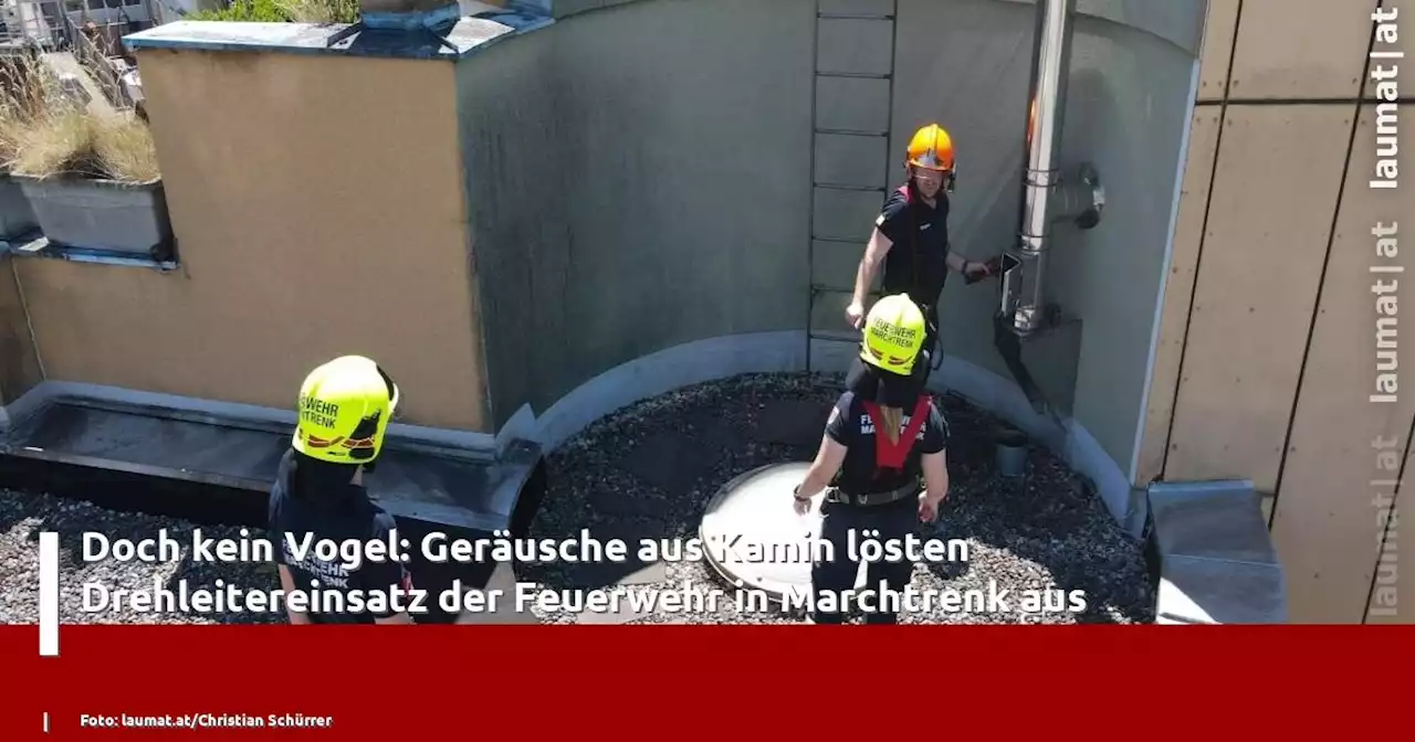 Doch kein Vogel: Geräusche aus Kamin lösten Drehleitereinsatz der Feuerwehr in Marchtrenk aus | laumat|at