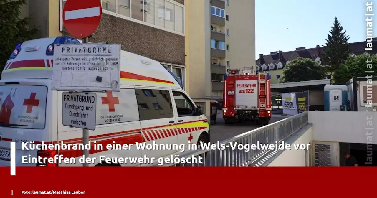 Küchenbrand in einer Wohnung in Wels-Vogelweide vor Eintreffen der Feuerwehr gelöscht | laumat|at