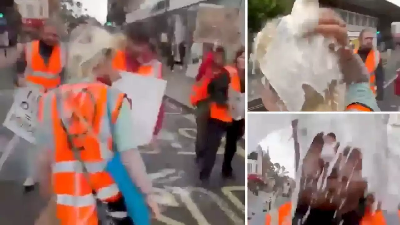 Just Stop Oil protesters covered in milk as they carry out latest road blocking slow march