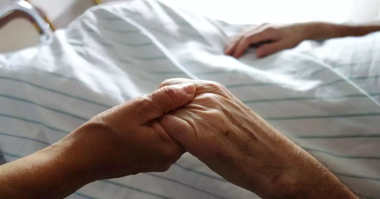 Euthanasie: «Quand nous souffrons, rassurez-nous, soulagez-nous, retenez-nous»