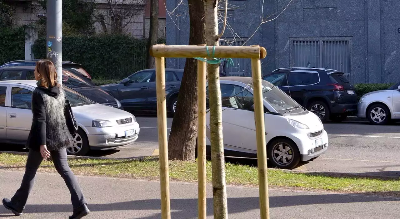 Milano choc, un uomo cerca di rapire una bambina di 4 anni al parco: messo in fuga dalla babysitter