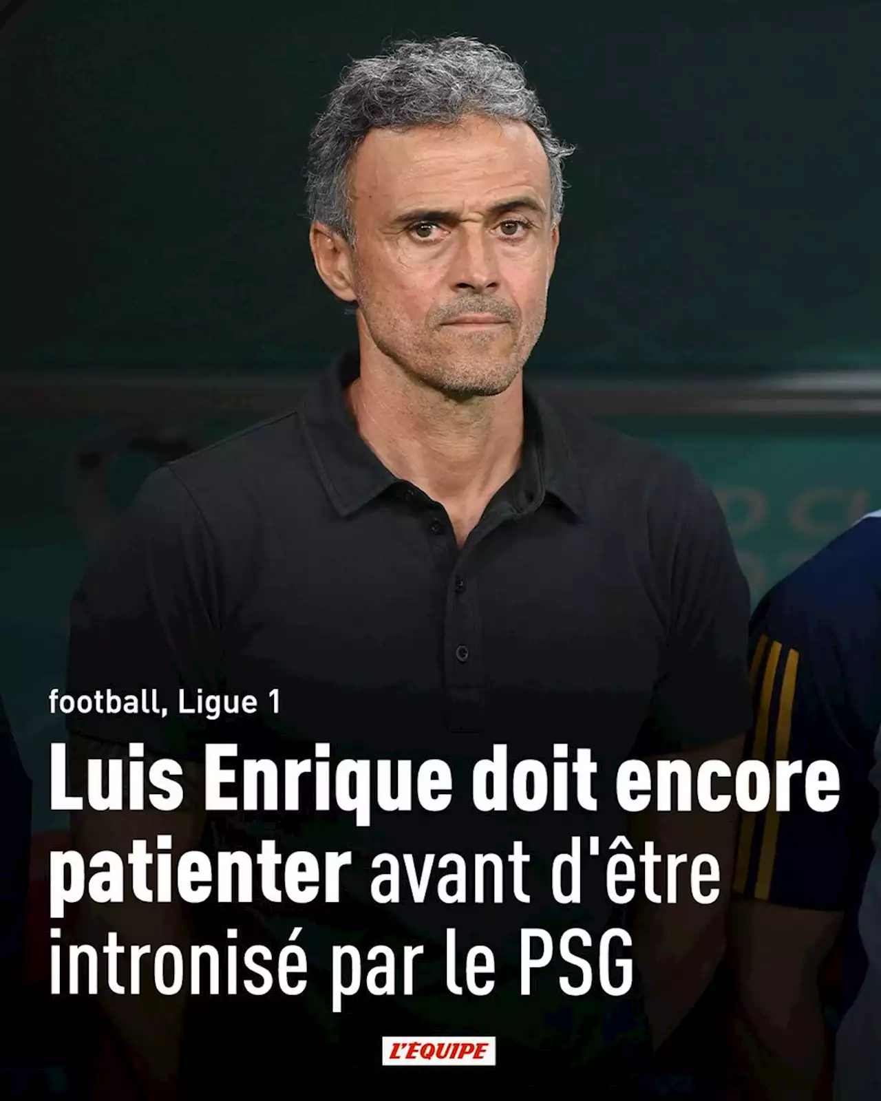 Luis Enrique doit encore patienter avant d'être intronisé par le PSG